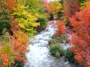 Autumn at Harris Creek, Ontario