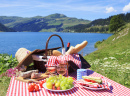 Picnic in the French Alps